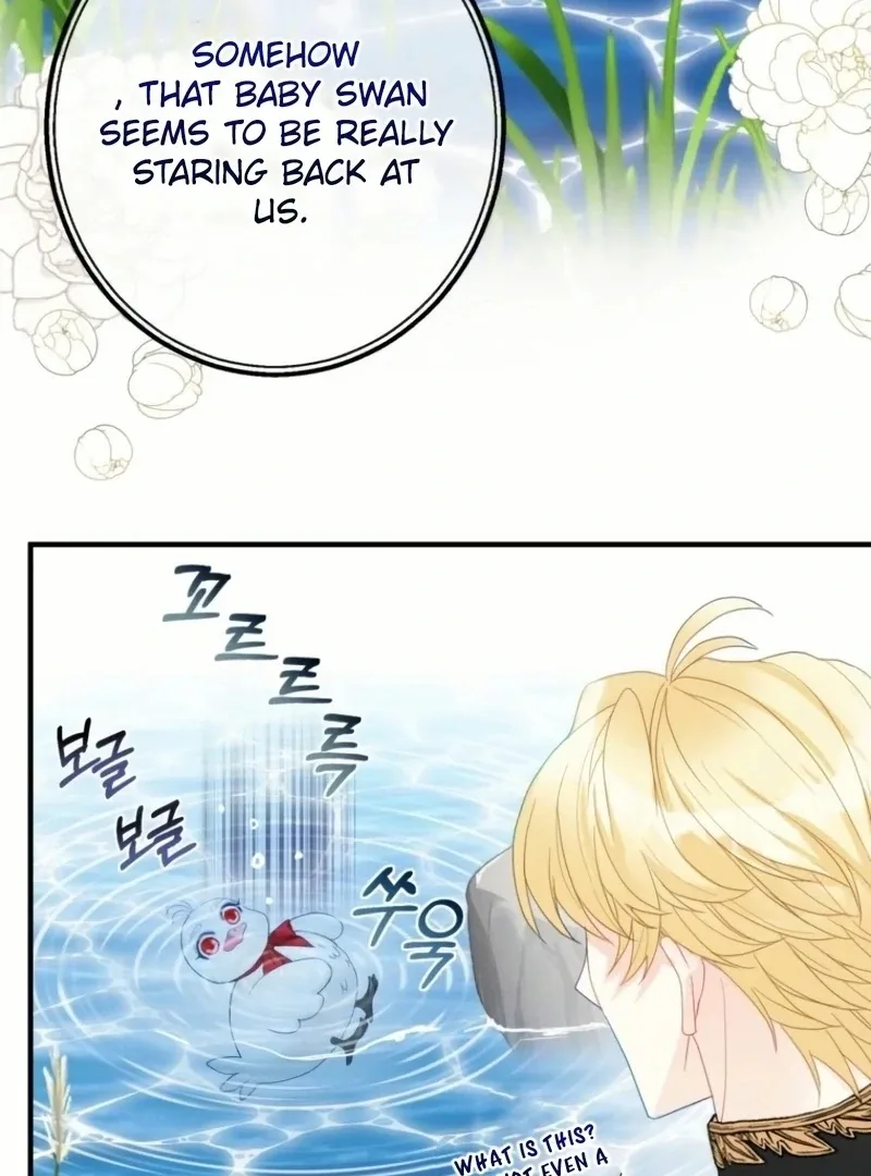 I Became The Black Swan Mother of The White Swan Princess Chapter 21 page 51