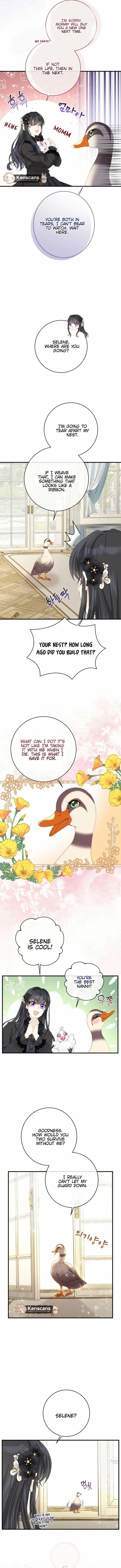 I Became The Black Swan Mother of The White Swan Princess Chapter 23 page 11
