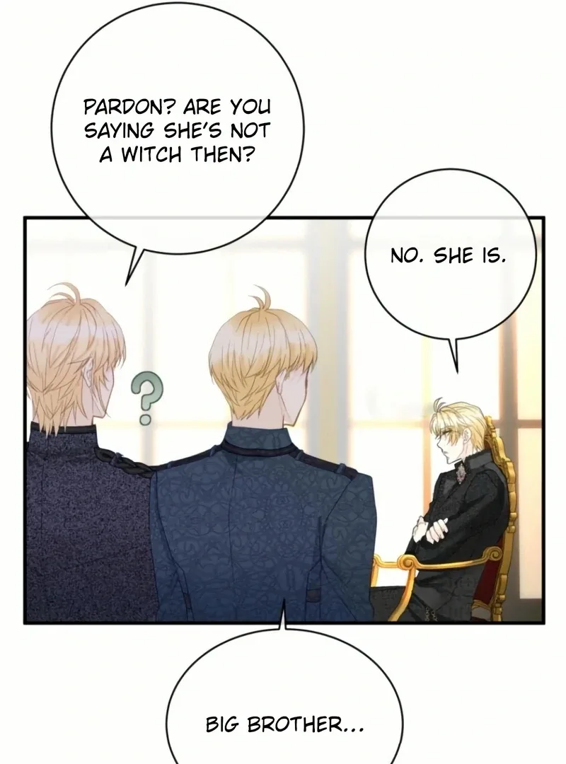 I Became The Black Swan Mother of The White Swan Princess Chapter 24 page 14
