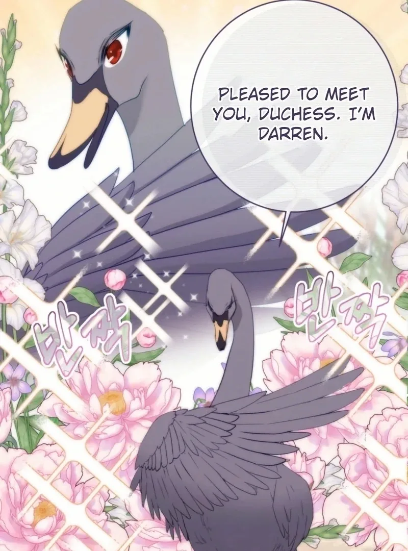I Became The Black Swan Mother of The White Swan Princess Chapter 24 page 77