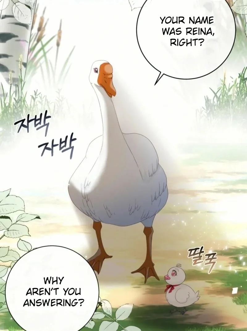 I Became The Black Swan Mother of The White Swan Princess Chapter 20 page 51