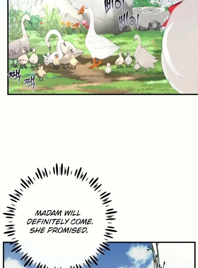 I Became The Black Swan Mother of The White Swan Princess Chapter 20 page 49