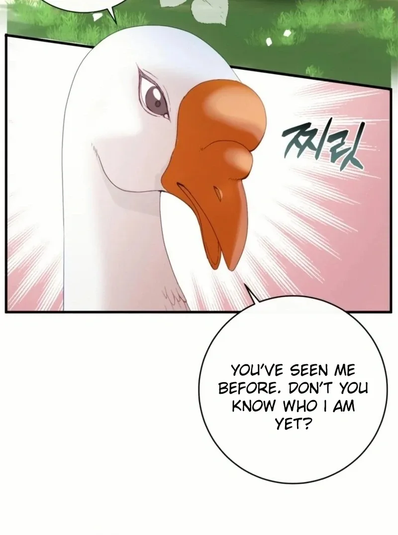 I Became The Black Swan Mother of The White Swan Princess Chapter 20 page 52