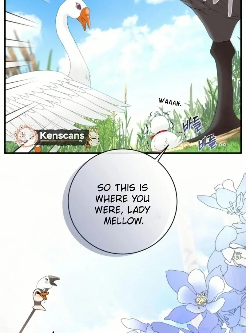 I Became The Black Swan Mother of The White Swan Princess Chapter 20 page 59