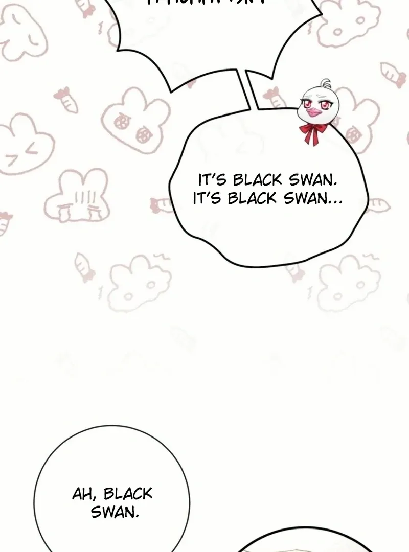 I Became The Black Swan Mother of The White Swan Princess Chapter 20 page 71
