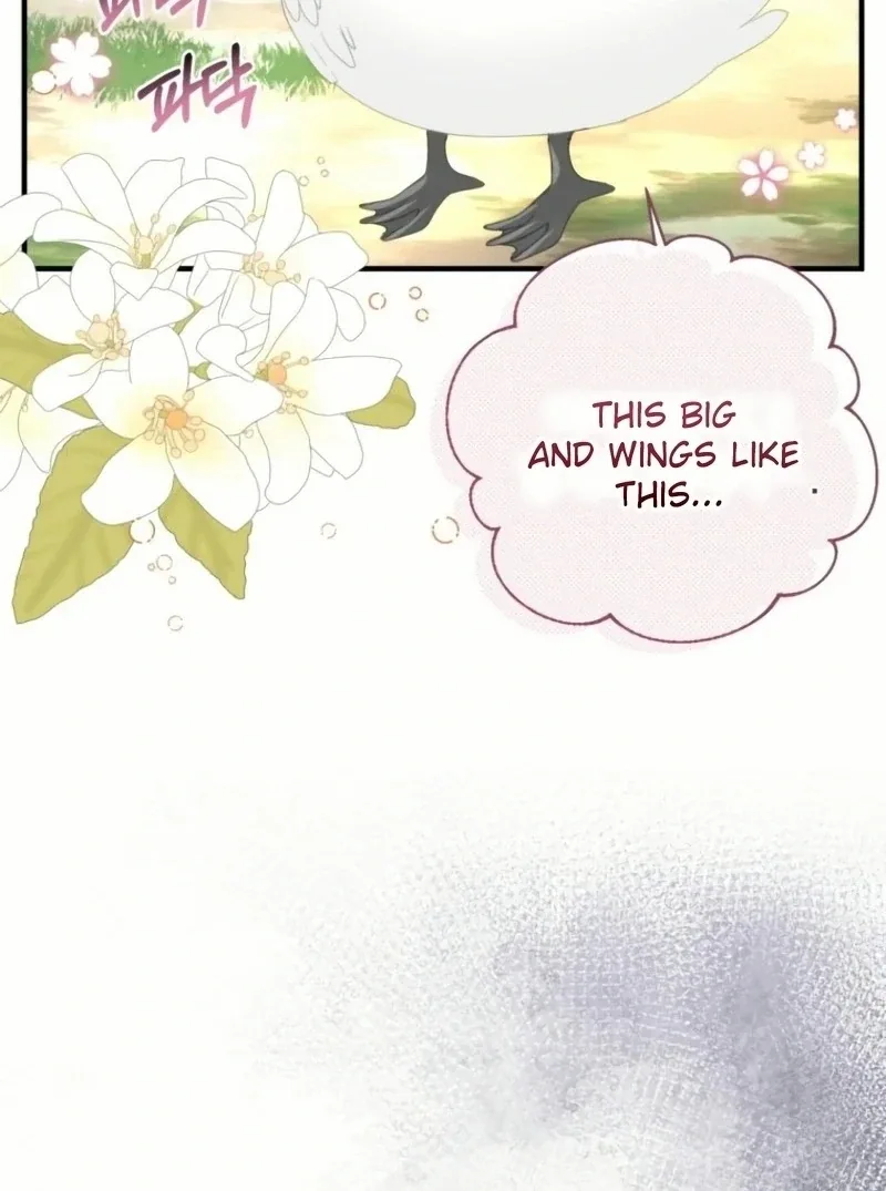 I Became The Black Swan Mother of The White Swan Princess Chapter 20 page 74