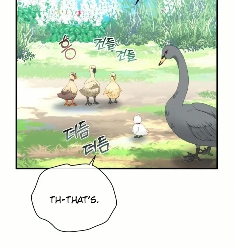 I Became The Black Swan Mother of The White Swan Princess Chapter 20 page 80