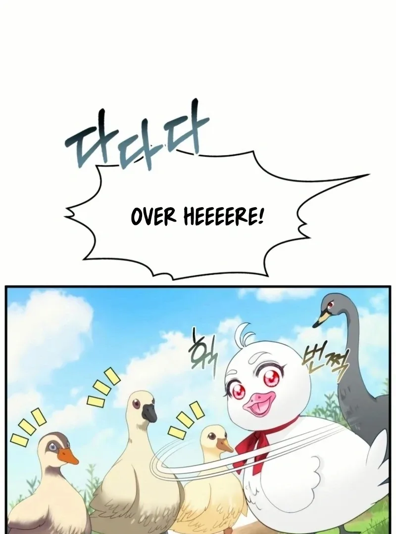 I Became The Black Swan Mother of The White Swan Princess Chapter 20 page 81