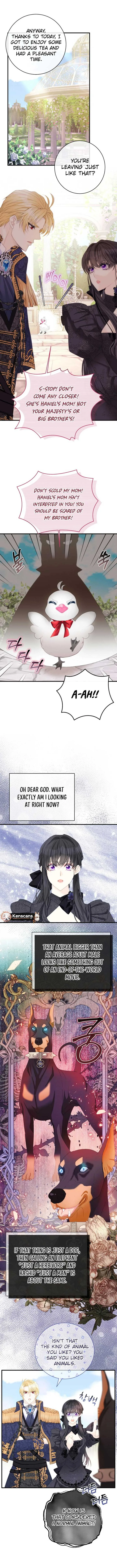 I Became The Black Swan Mother of The White Swan Princess Chapter 31 page 3