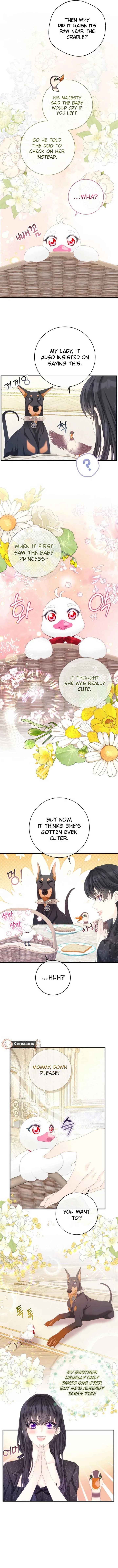 I Became The Black Swan Mother of The White Swan Princess Chapter 32 page 7
