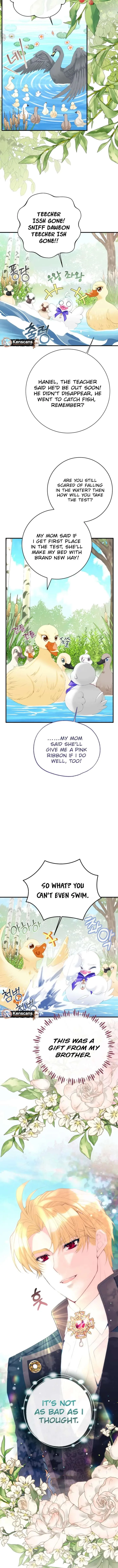 I Became The Black Swan Mother of The White Swan Princess Chapter 50 page 6