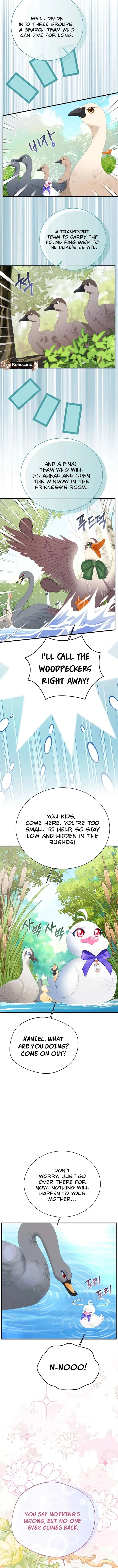 I Became The Black Swan Mother of The White Swan Princess Chapter 50 page 10