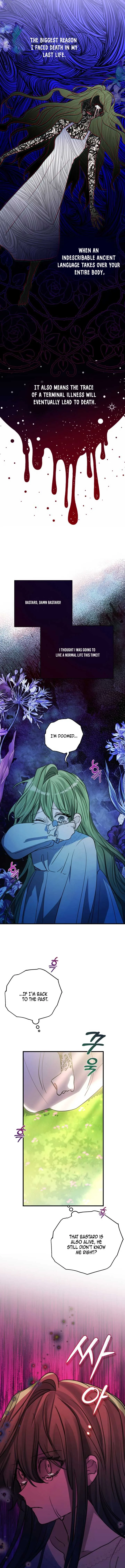 I Became the Contract Daughter of the soon-to-be-ruined Family Chapter 2 page 5