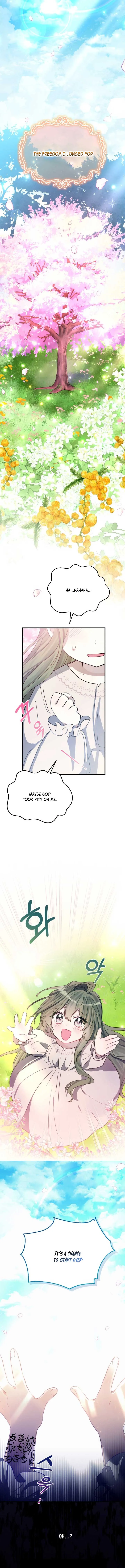 I Became the Contract Daughter of the soon-to-be-ruined Family Chapter 2 page 3