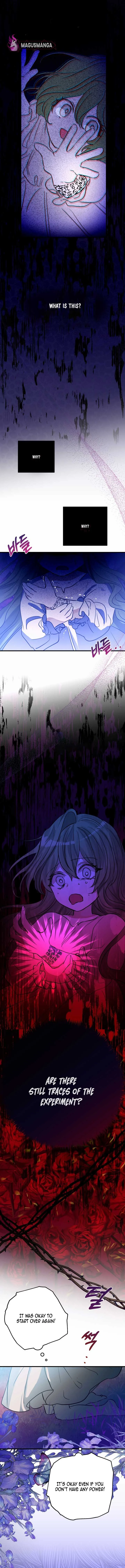I Became the Contract Daughter of the soon-to-be-ruined Family Chapter 2 page 4