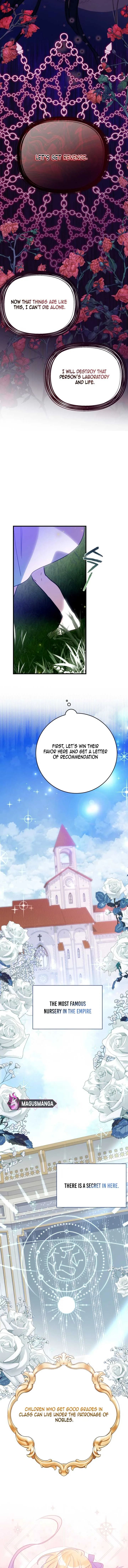 I Became the Contract Daughter of the soon-to-be-ruined Family Chapter 2 page 6