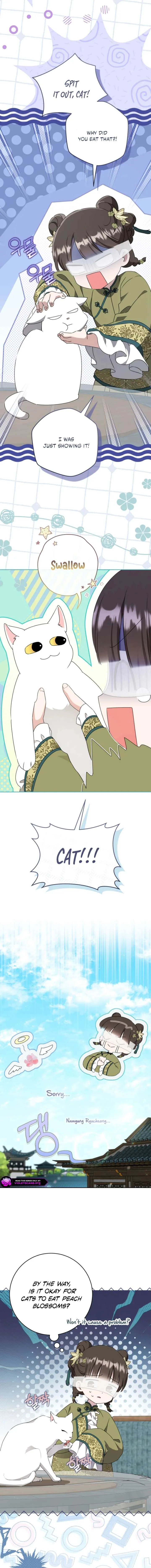 I became the Despised Granddaughter of the Powerful Martial Arts Family Chapter 96 page 8