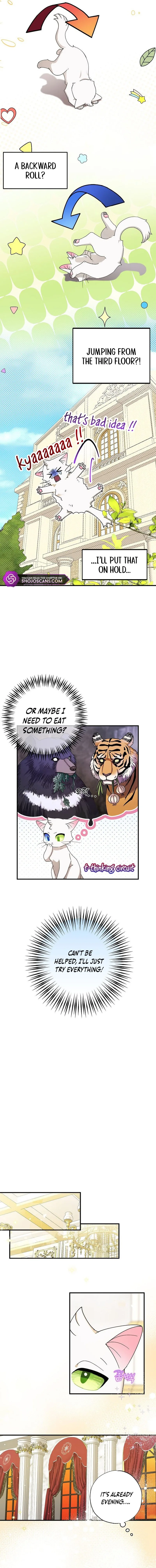 I Became the Emperor’s Cat Chapter 2 page 8