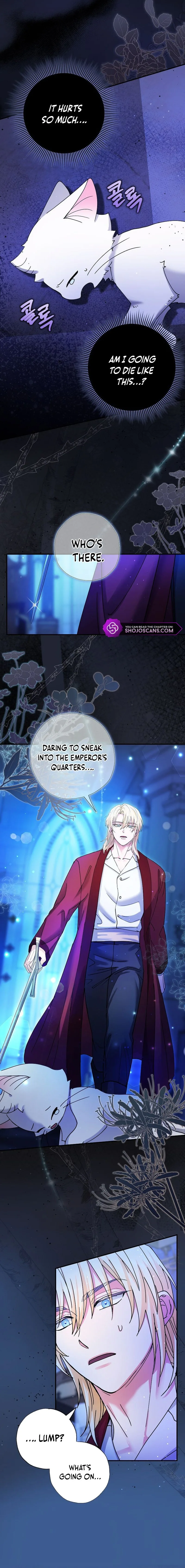 I Became the Emperor’s Cat Chapter 4 page 9