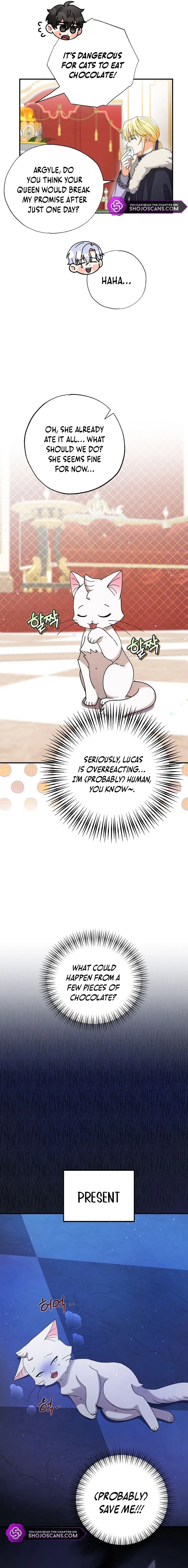 I Became the Emperor’s Cat Chapter 4 page 8