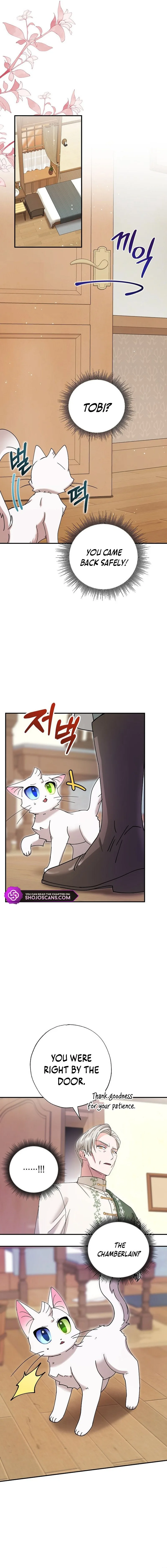 I Became the Emperor’s Cat Chapter 8 page 11
