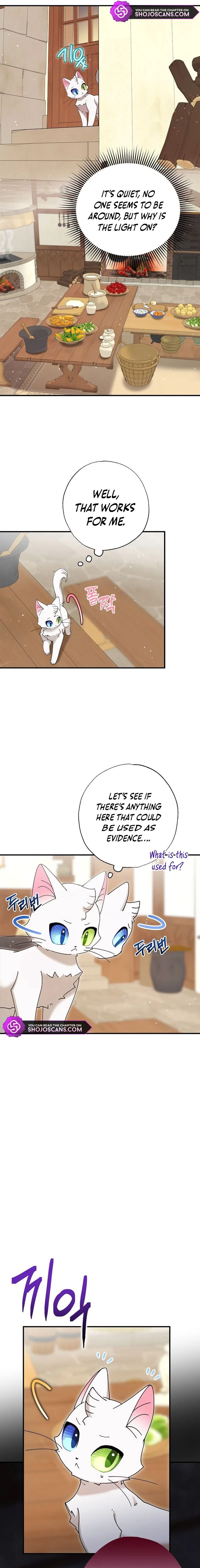I Became the Emperor’s Cat Chapter 8 page 17