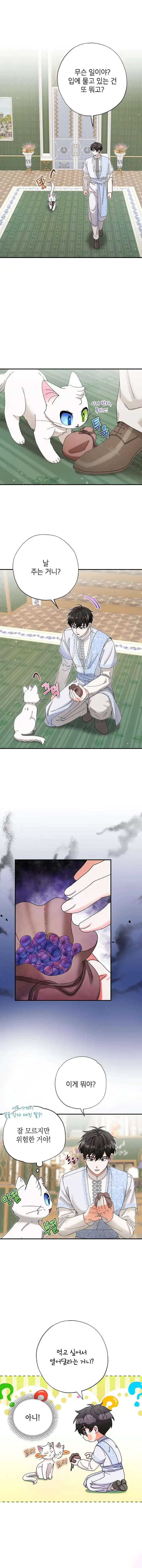 I Became the Emperor’s Cat Chapter 11 page 9