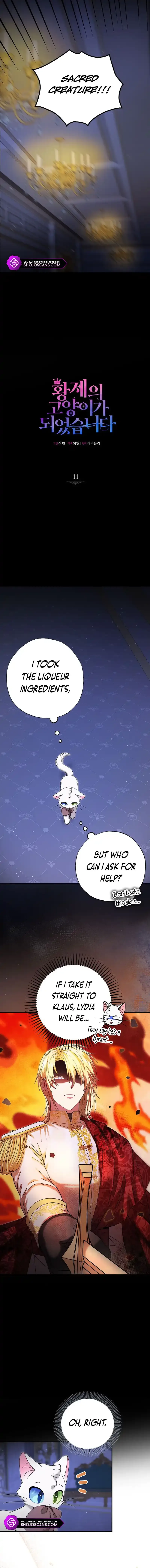 I Became the Emperor’s Cat Chapter 11 page 6