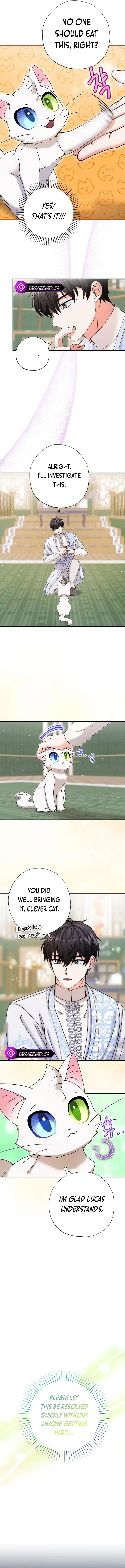 I Became the Emperor’s Cat Chapter 11 page 11