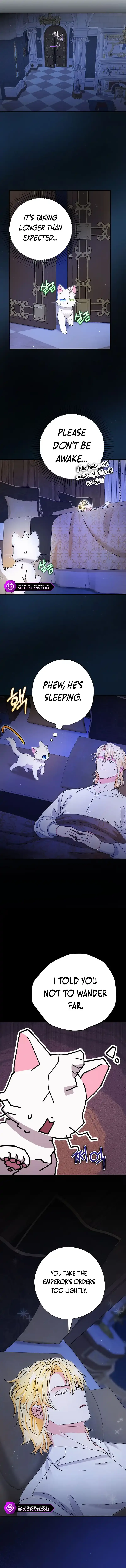 I Became the Emperor’s Cat Chapter 11 page 12