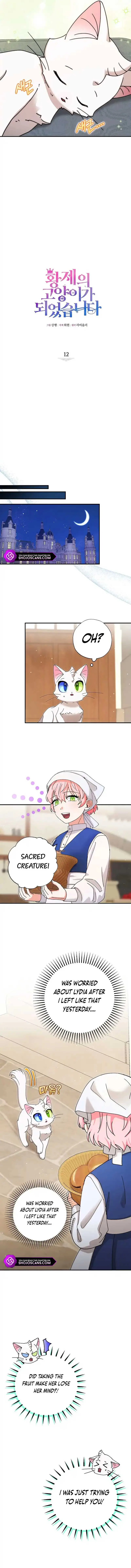 I Became the Emperor’s Cat Chapter 12 page 6