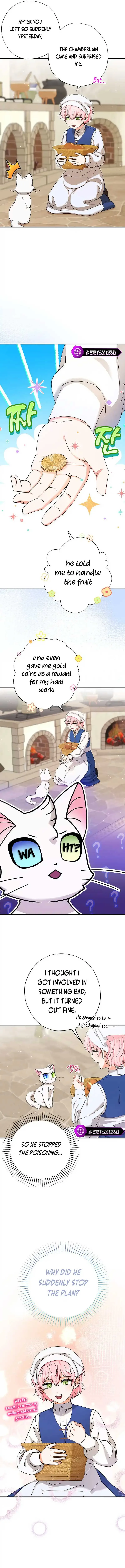I Became the Emperor’s Cat Chapter 12 page 7