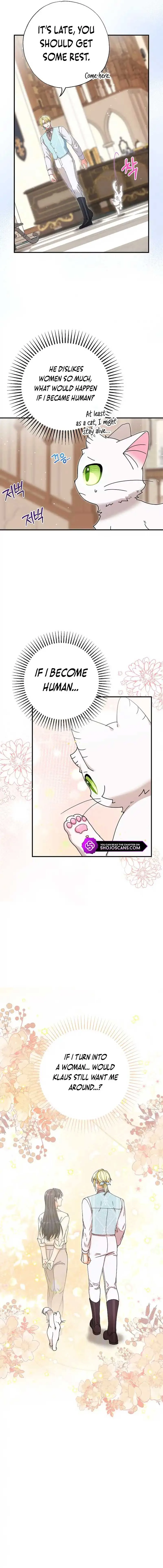 I Became the Emperor’s Cat Chapter 13 page 11