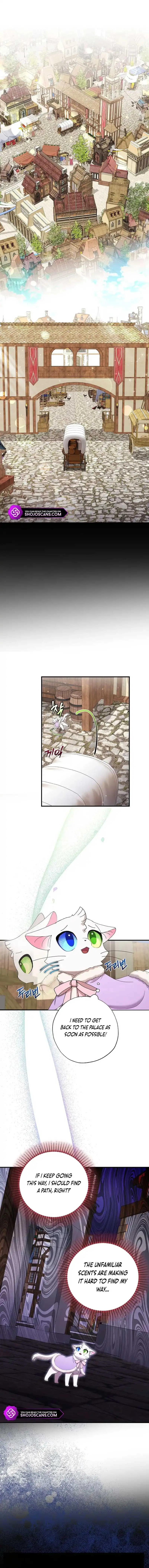 I Became the Emperor’s Cat Chapter 15 page 3