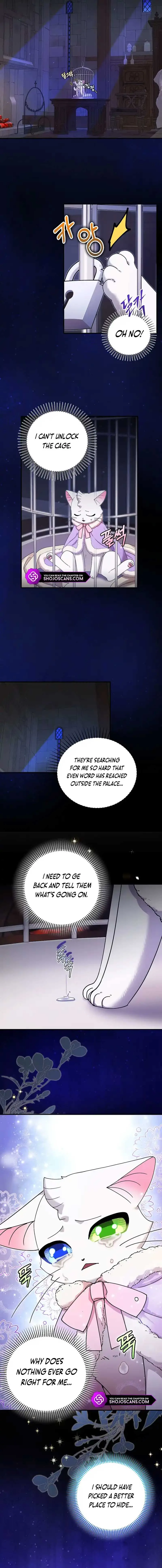 I Became the Emperor’s Cat Chapter 18 page 8