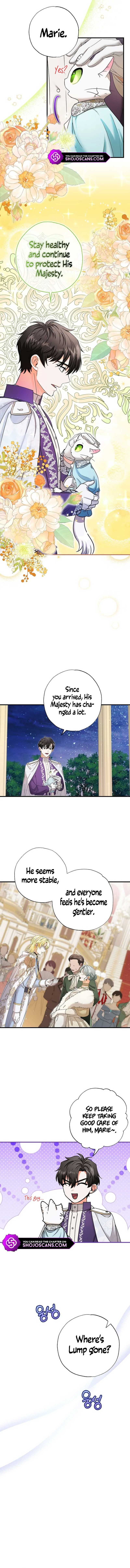 I Became the Emperor’s Cat Chapter 20 page 11