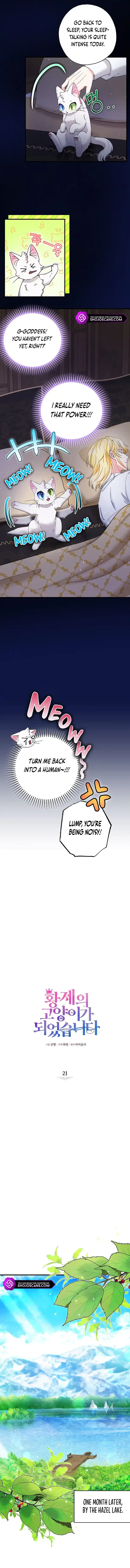I Became the Emperor’s Cat Chapter 21 page 3
