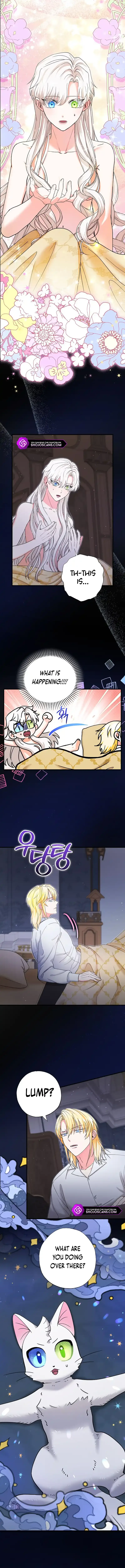 I Became the Emperor’s Cat Chapter 21 page 2