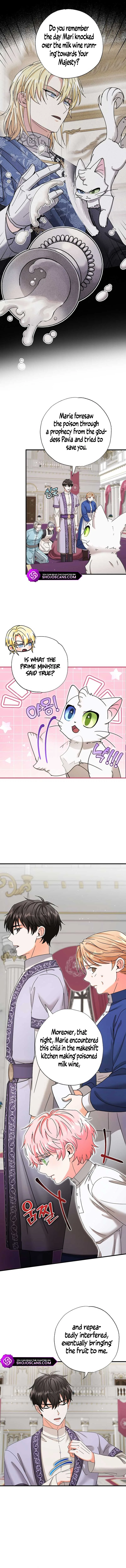I Became the Emperor’s Cat Chapter 19 page 5