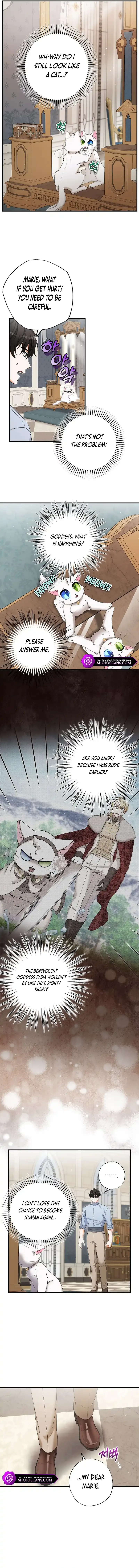 I Became the Emperor’s Cat Chapter 22 page 9