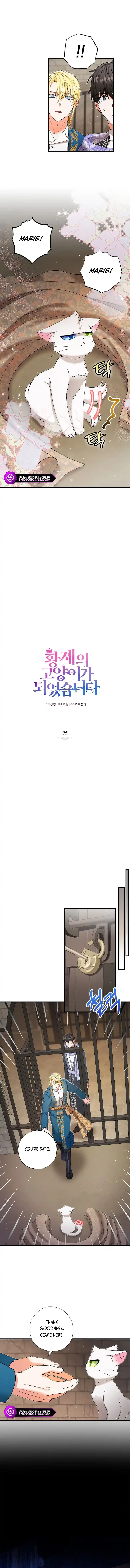 I Became the Emperor’s Cat Chapter 25 page 4
