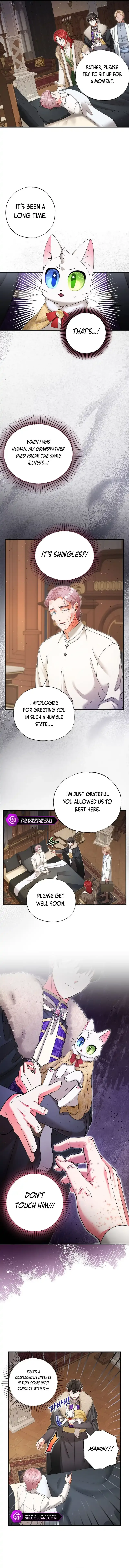 I Became the Emperor’s Cat Chapter 26 page 9