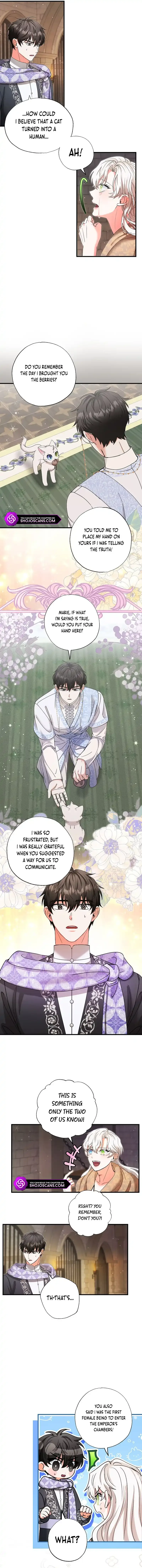 I Became the Emperor’s Cat Chapter 24 page 11
