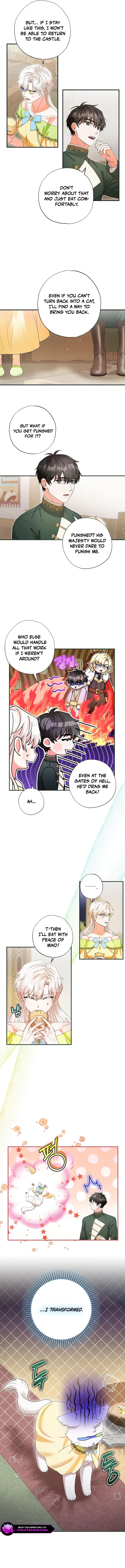 I Became the Emperor’s Cat Chapter 31 page 8