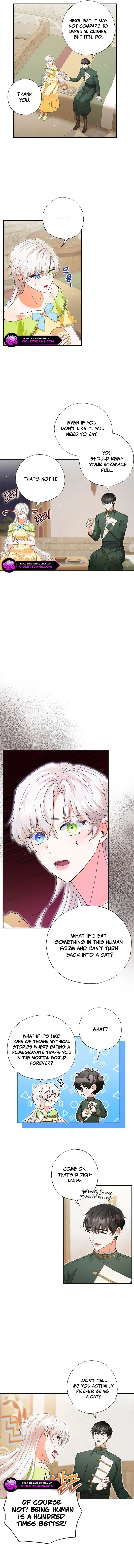 I Became the Emperor’s Cat Chapter 31 page 7