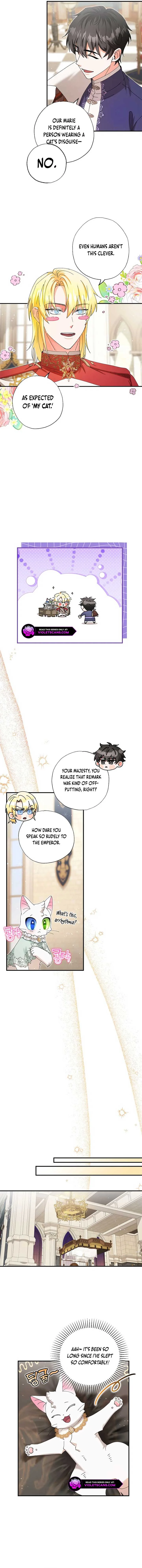 I Became the Emperor’s Cat Chapter 32 page 10