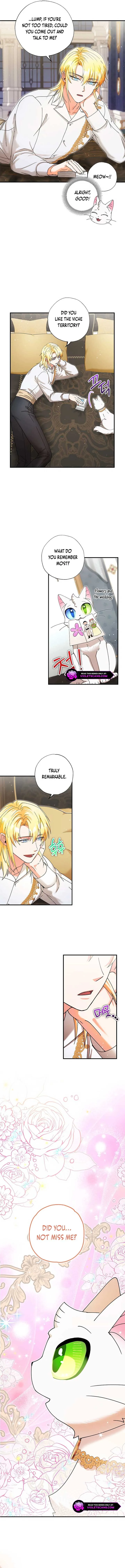 I Became the Emperor’s Cat Chapter 32 page 11