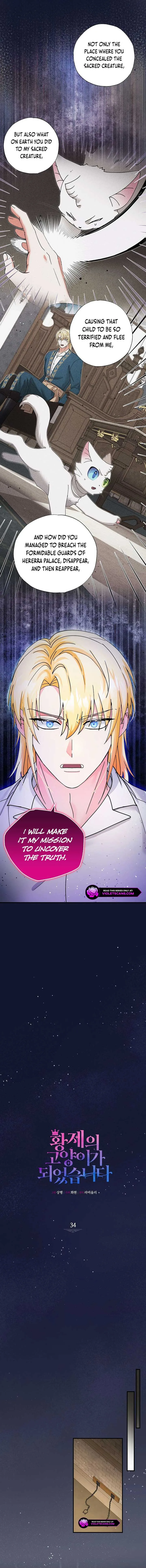 I Became the Emperor’s Cat Chapter 34 page 3