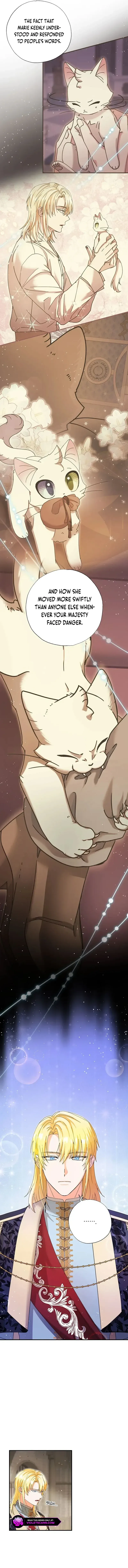 I Became the Emperor’s Cat Chapter 35 page 9