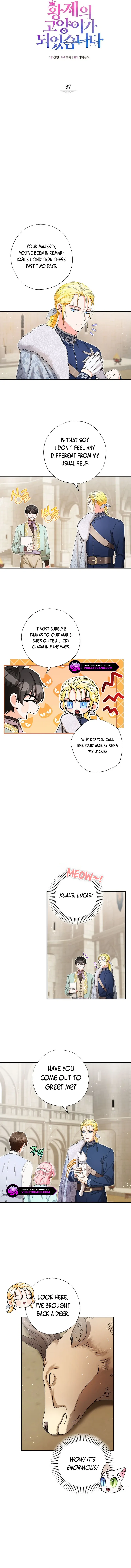 I Became the Emperor’s Cat Chapter 37 page 3